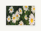 Daisies in Dark Grass, floral canvas wall art print, front view