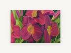 Magenta Daylily Garden, floral canvas wall art print, front view