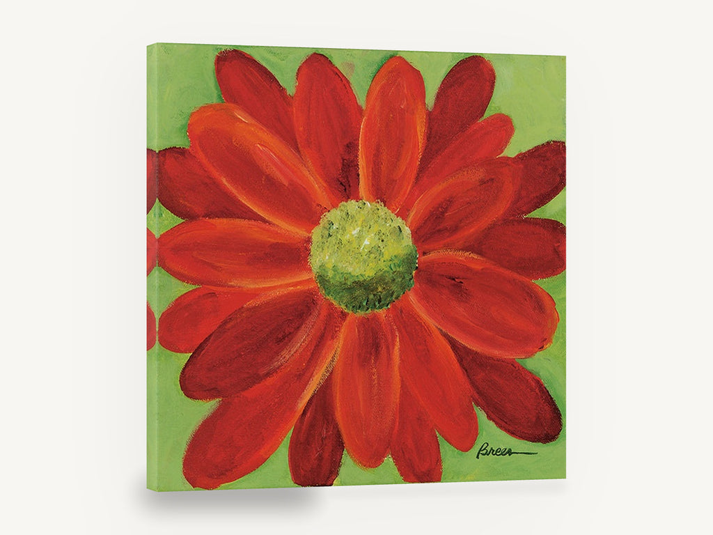 Scarlet Daisy Bloom, red daisy floral acrylic painting, floral canvas wall art print ready to hang