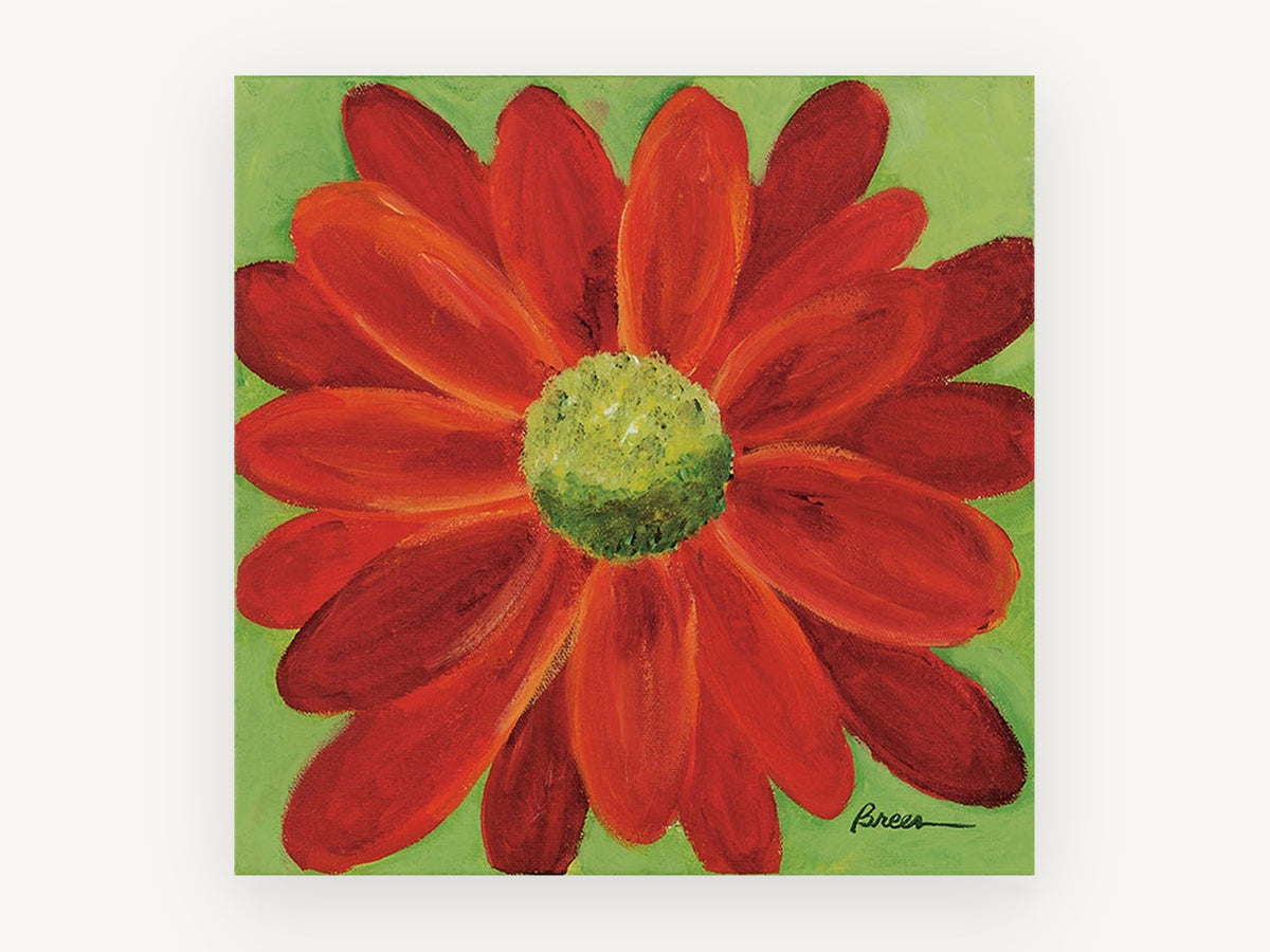 Scarlet Daisy Bloom, floral canvas wall art print, front view