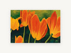 Orange Tulips at Dusk, floral canvas wall art print, front view