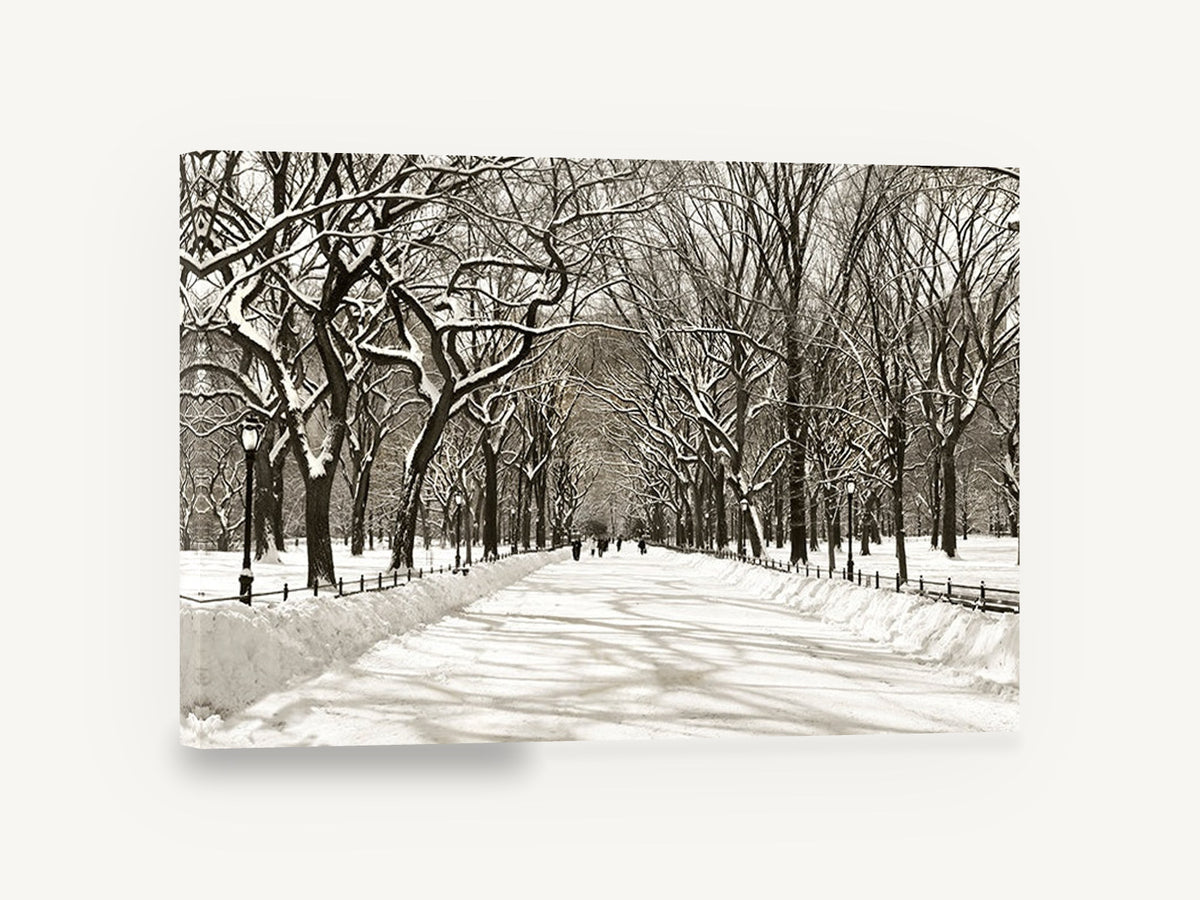 Snowbound Elm Avenue, snowy tree lined park path photograph, landscape canvas wall art print ready to hang
