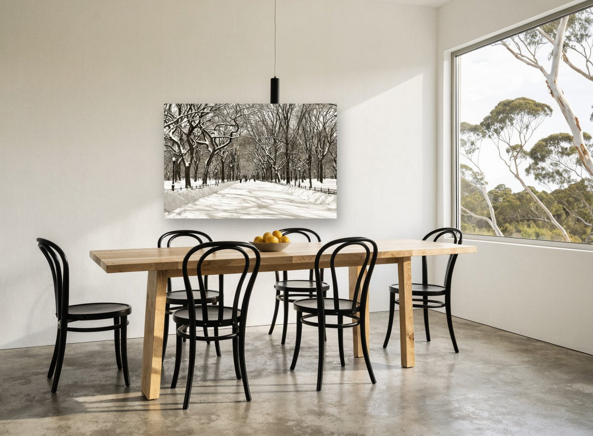 Snowbound Elm Avenue landscape canvas print on the wall of a dining room