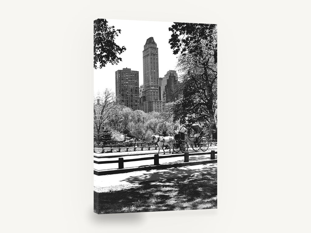 Central Park Carriage Ride, central park horse carriage black and white photograph, city canvas wall art print ready to hang