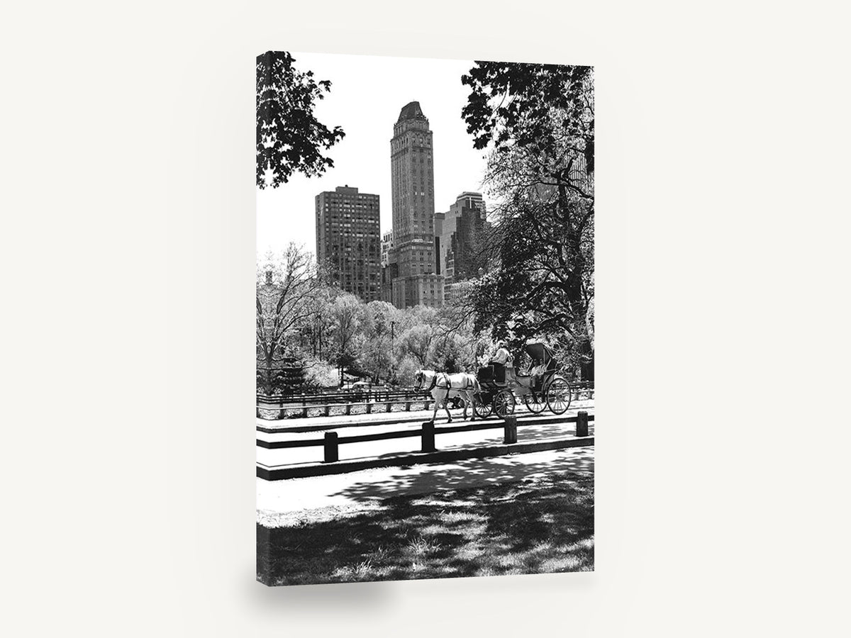 Central Park Carriage Ride, central park horse carriage black and white photograph, city canvas wall art print ready to hang