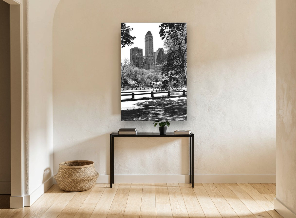 Central Park Carriage Ride city canvas print on the wall of a hallway