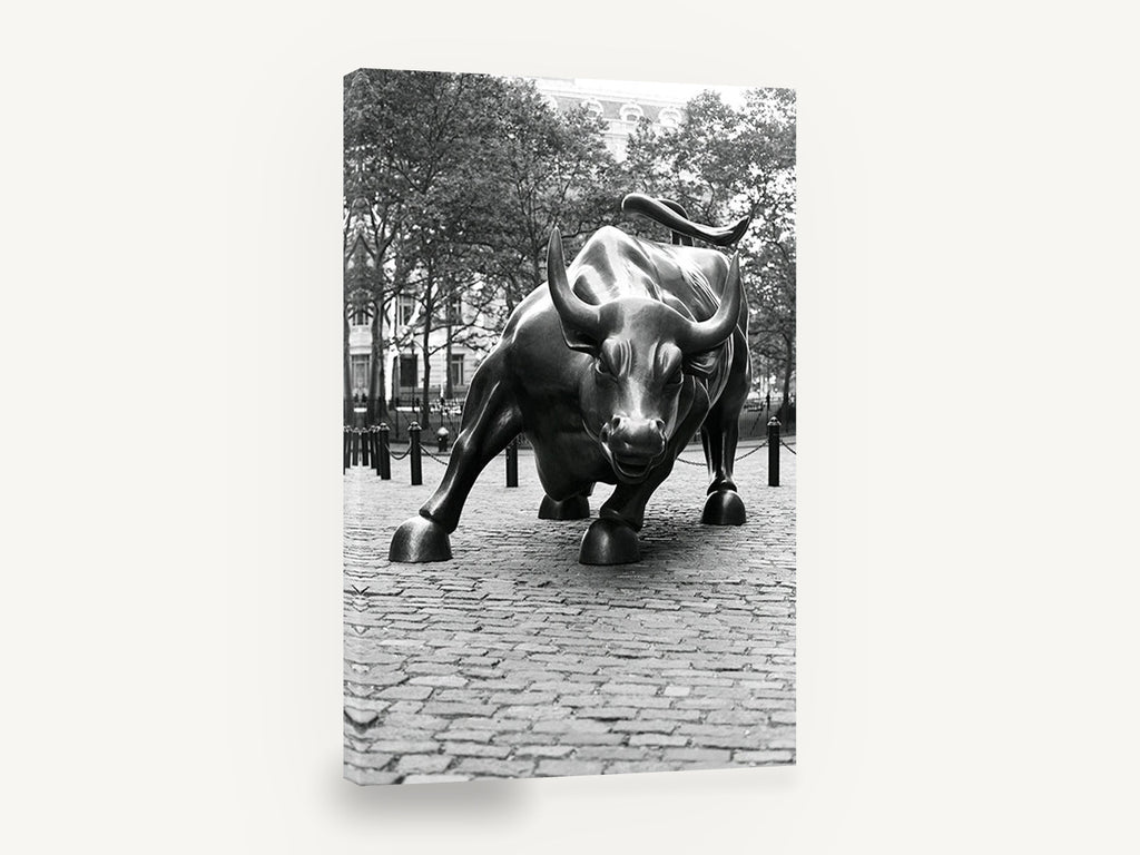 Charging Bull Study, wall street bull black and white photograph, city canvas wall art print ready to hang