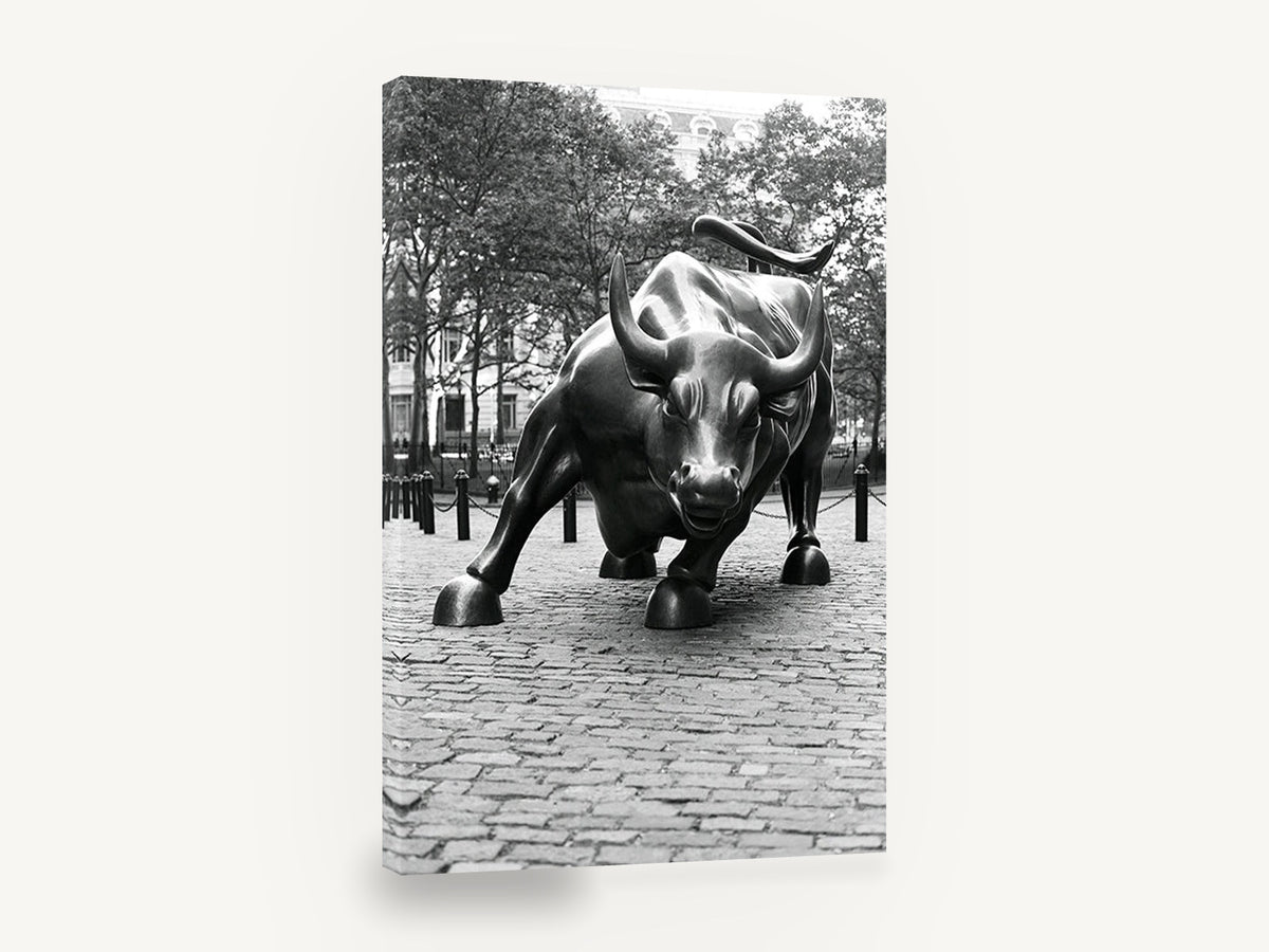 Charging Bull Study, wall street bull black and white photograph, city canvas wall art print ready to hang