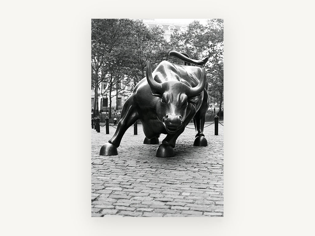 Charging Bull Study, wall street bull black and white photograph, city canvas wall art print, front view