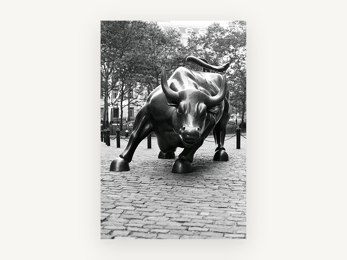 Charging Bull Study, wall street bull black and white photograph, city canvas wall art print, front view