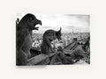 Gargoyles Over Paris, notre-dame gargoyles paris black and white photograph, city canvas wall art print ready to hang