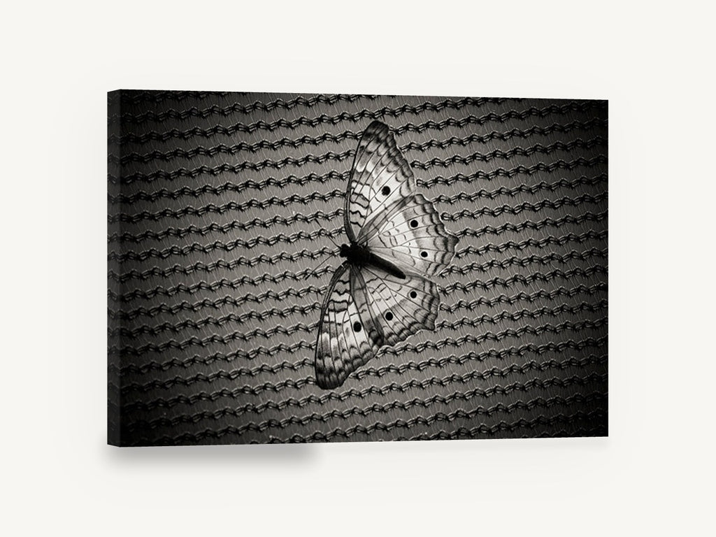Butterfly on Woven Mesh, black and white butterfly photograph, animal canvas wall art print ready to hang