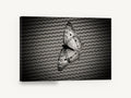 Butterfly on Woven Mesh, black and white butterfly photograph, animal canvas wall art print ready to hang