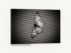 Butterfly on Woven Mesh, black and white butterfly photograph, animal canvas wall art print ready to hang