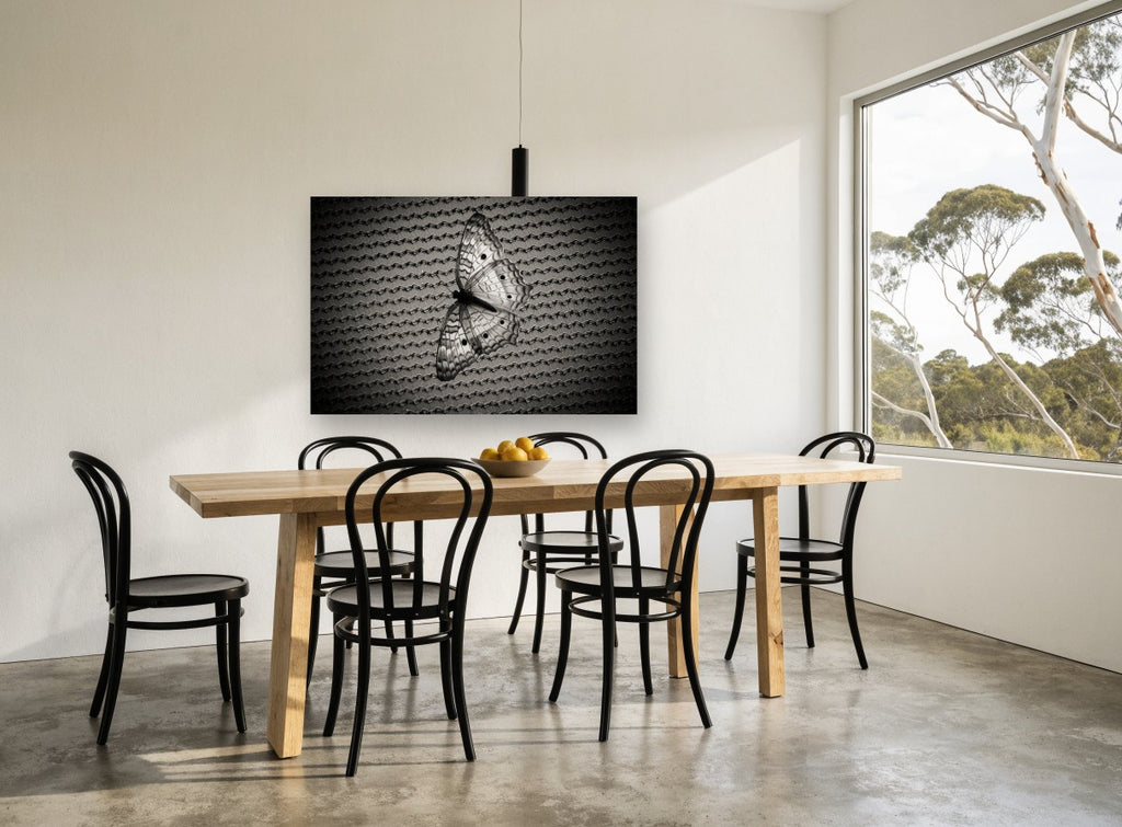 Butterfly on Woven Mesh animal canvas print on the wall of a dining room