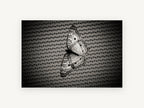 Butterfly on Woven Mesh, black and white butterfly photograph, animal canvas wall art print, front view