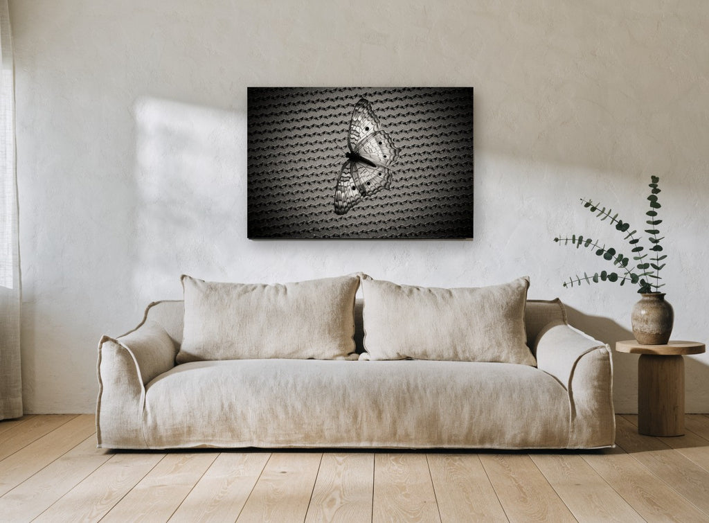 Butterfly on Woven Mesh animal canvas print on the wall of a living room