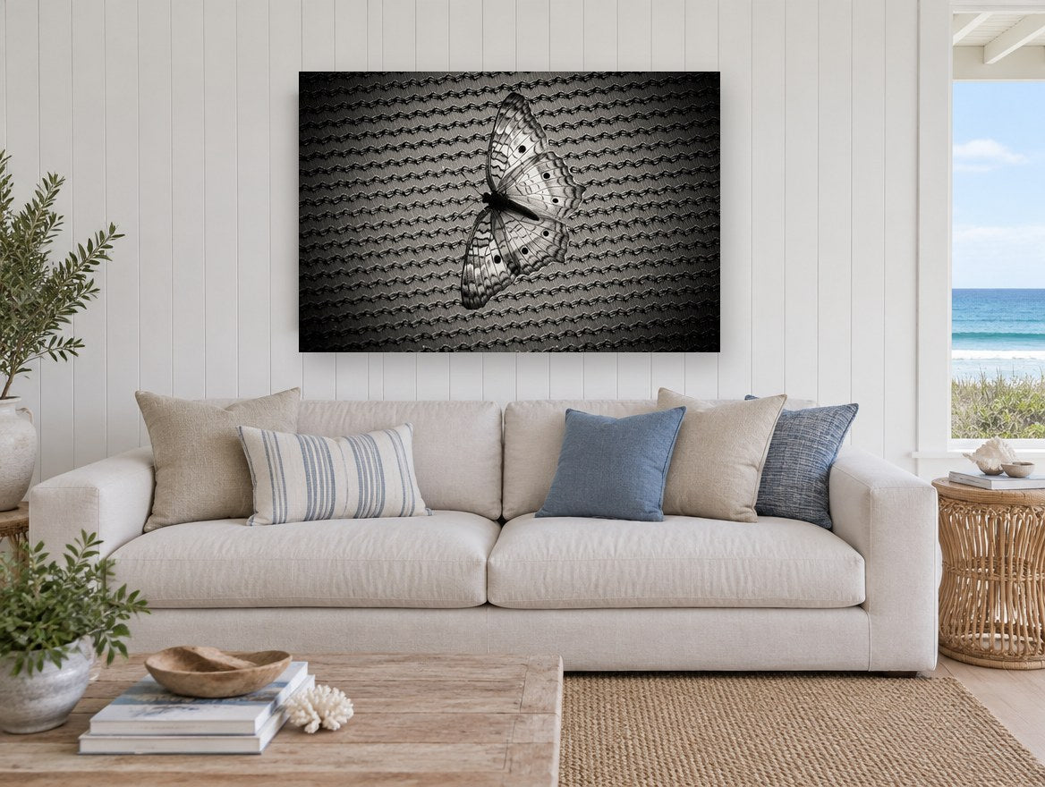 Butterfly on Woven Mesh animal canvas print on the wall of a beach house living room