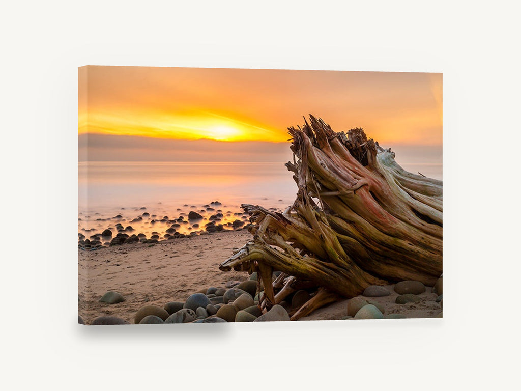 Driftwood Stump at Dusk, driftwood sunset beach photograph, coastal canvas wall art print ready to hang