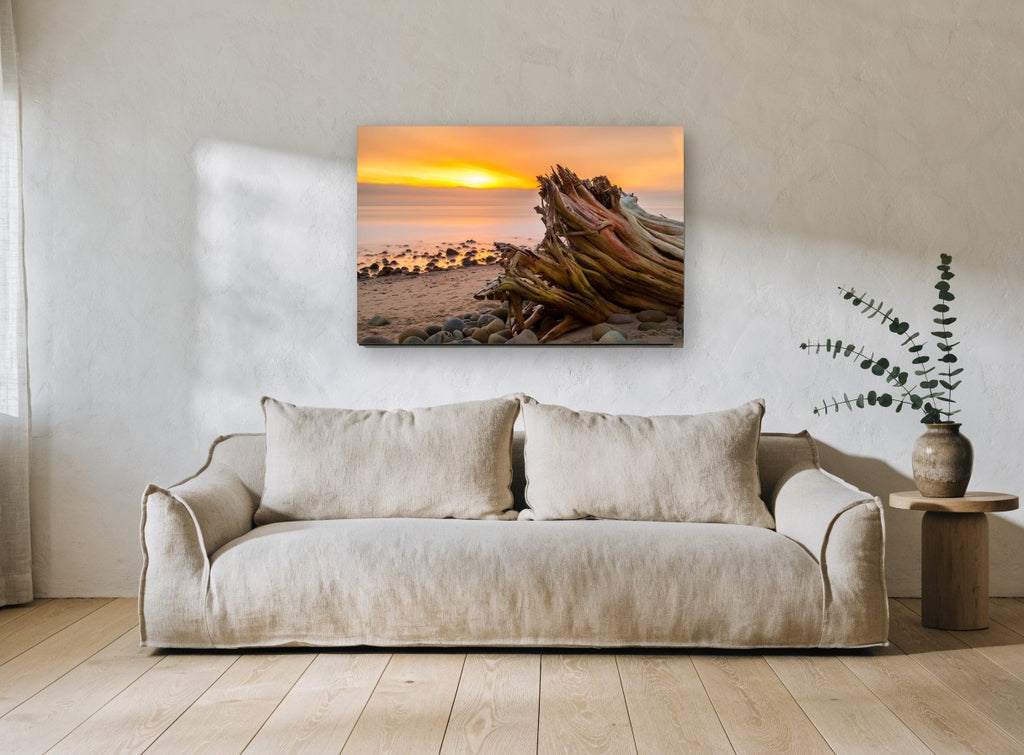 Driftwood Stump at Dusk coastal canvas print on the wall of a living room
