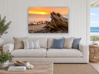 Driftwood Stump at Dusk coastal canvas print on the wall of a beach house living room