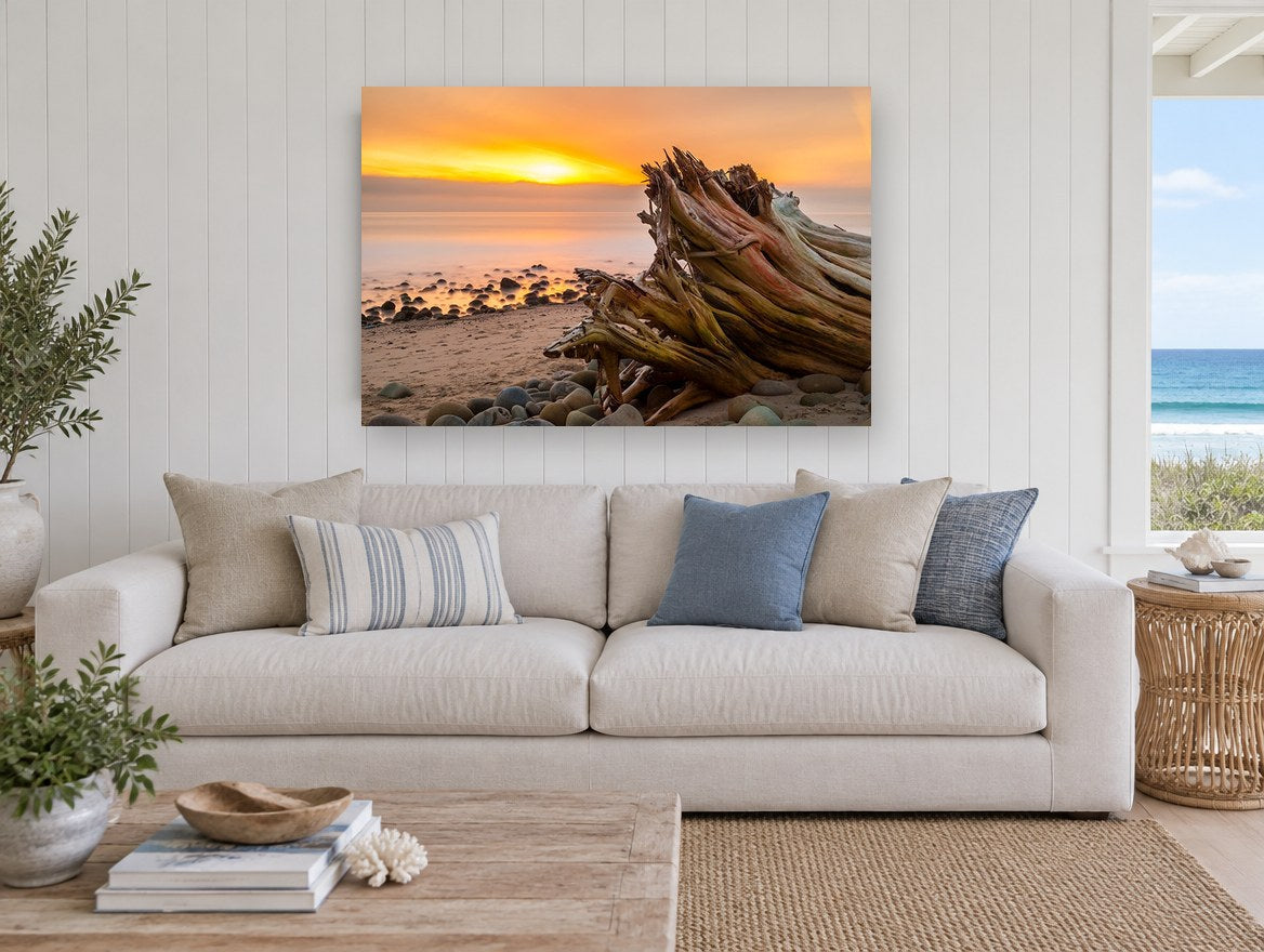 Driftwood Stump at Dusk coastal canvas print on the wall of a beach house living room