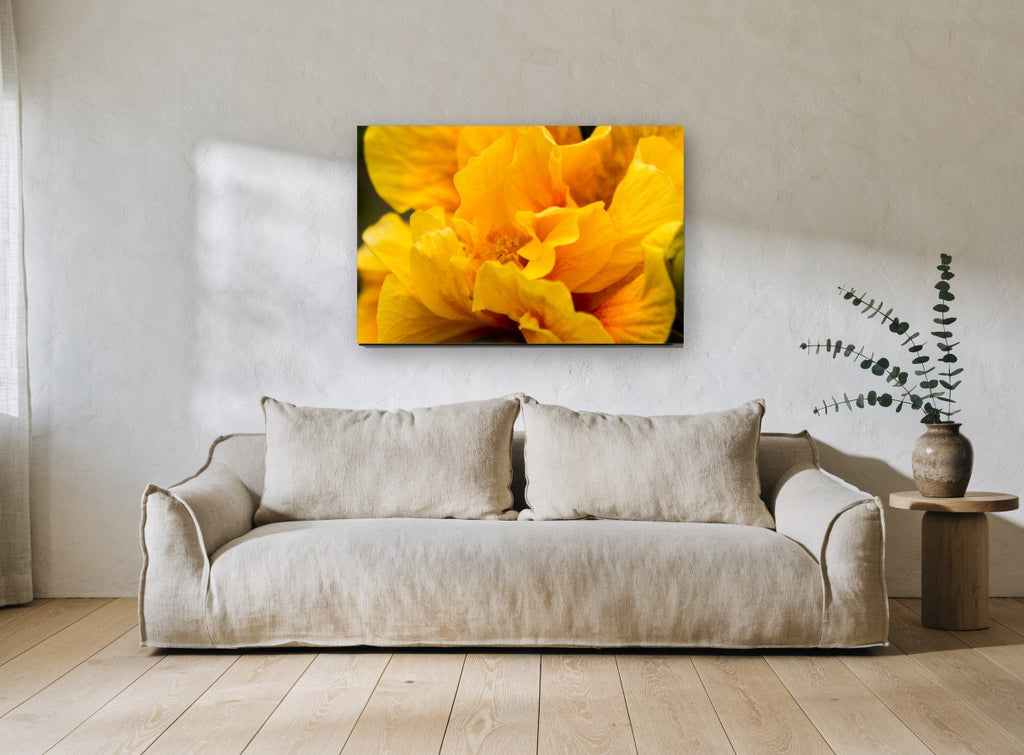 Golden Ruffles floral canvas print on the wall of a living room