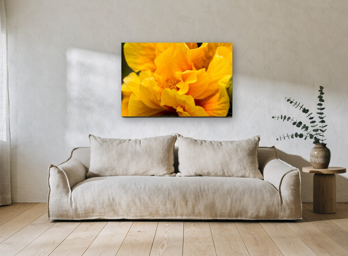 Golden Ruffles floral canvas print on the wall of a living room