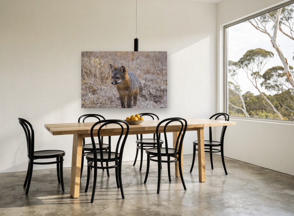 Wary Grey Fox animal canvas print on the wall of a dining room