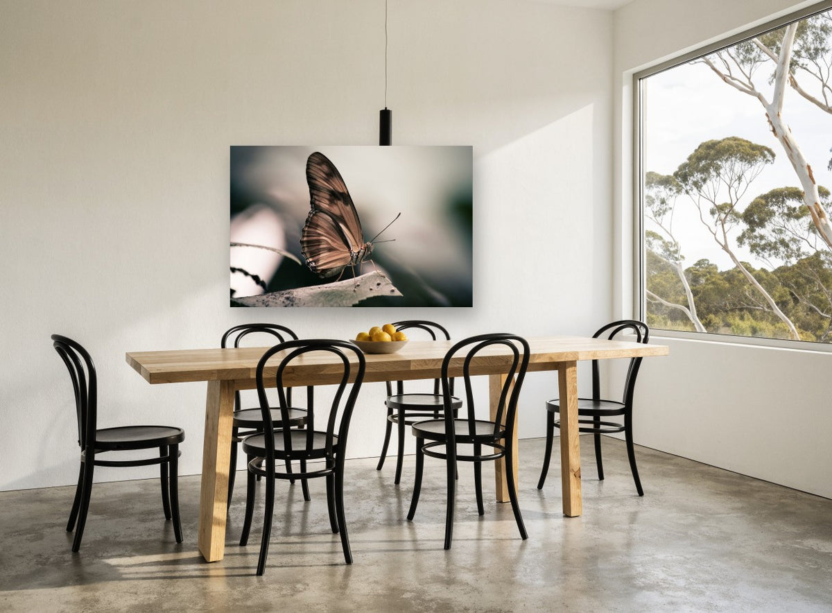 Resting Copper Butterfly animal canvas print on the wall of a dining room