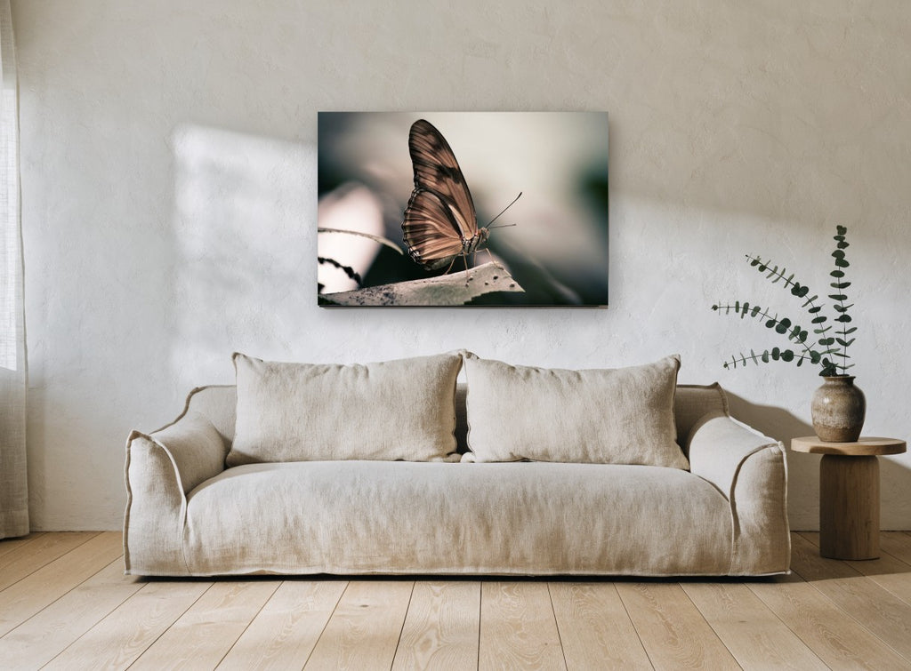 Resting Copper Butterfly animal canvas print on the wall of a living room