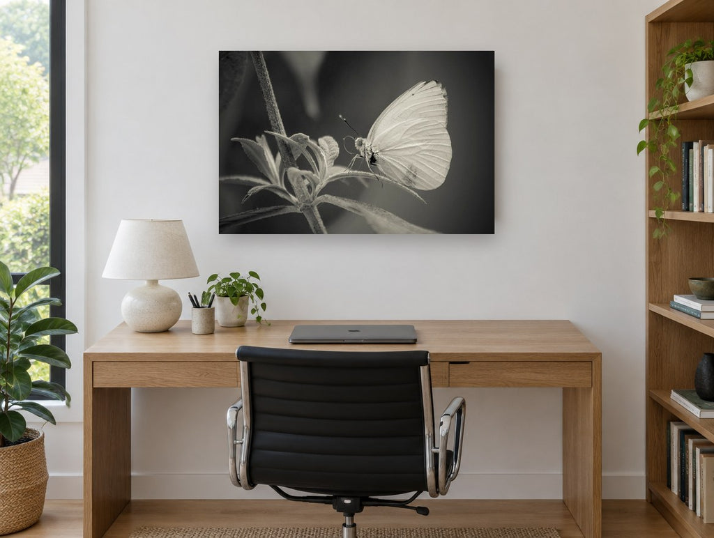 Pale Wing Rest animal canvas print on the wall of a study