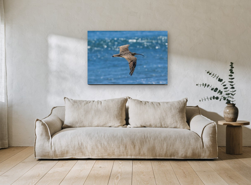 Curlew Over Blue Water animal canvas print on the wall of a living room