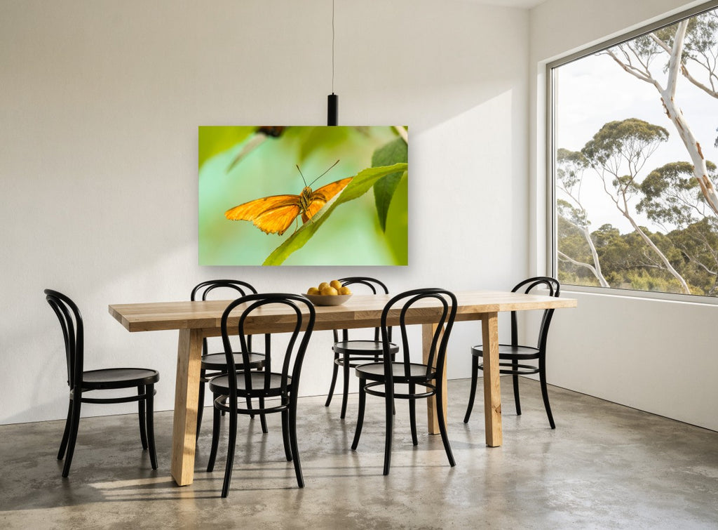 Orange Butterfly Lookout animal canvas print on the wall of a dining room