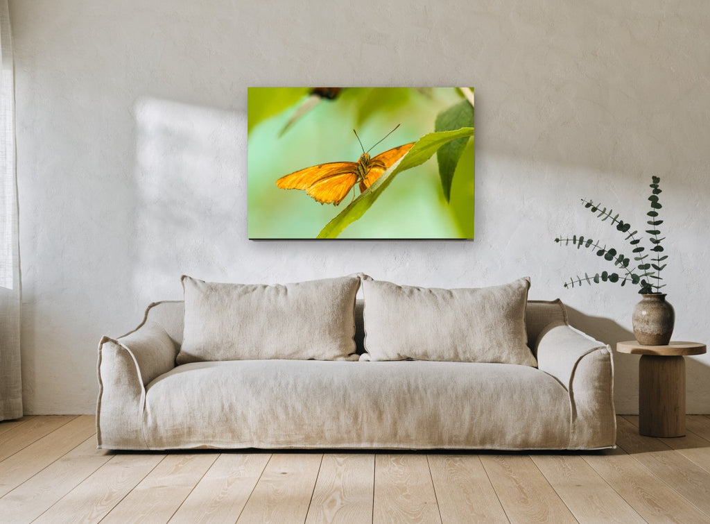 Orange Butterfly Lookout animal canvas print on the wall of a living room