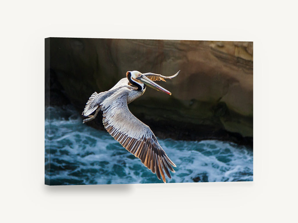 Pelican Over Surf, flying pelican over ocean photograph, coastal canvas wall art print ready to hang