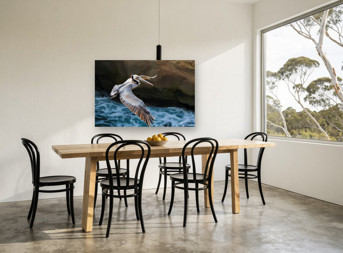 Pelican Over Surf coastal canvas print on the wall of a dining room