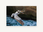 Pelican Over Surf, coastal canvas wall art print, front view