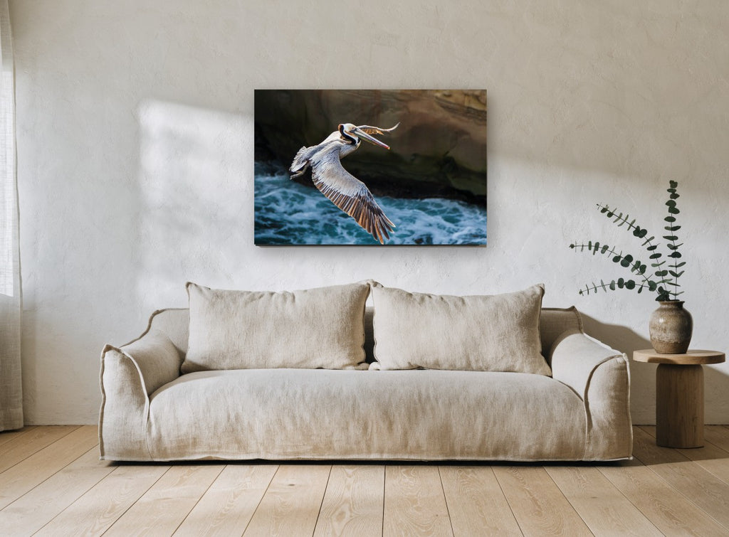 Pelican Over Surf coastal canvas print on the wall of a living room