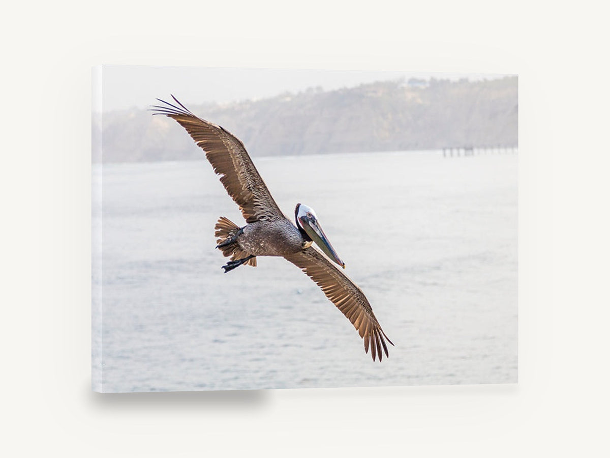 Pelican Over Still Water, flying pelican over calm sea photograph, coastal canvas wall art print ready to hang