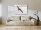 Pelican Over Still Water coastal canvas print on the wall of a living room