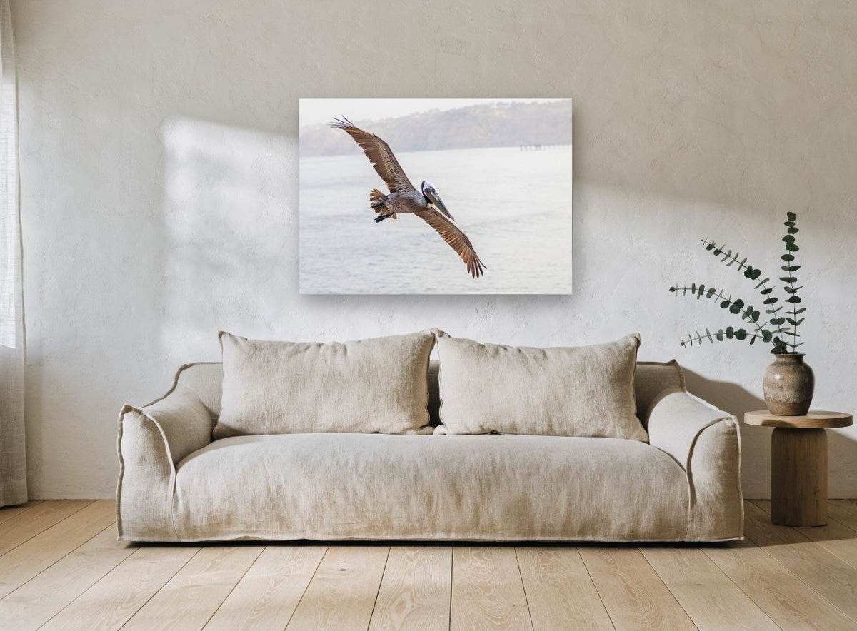 Pelican Over Still Water coastal canvas print on the wall of a living room