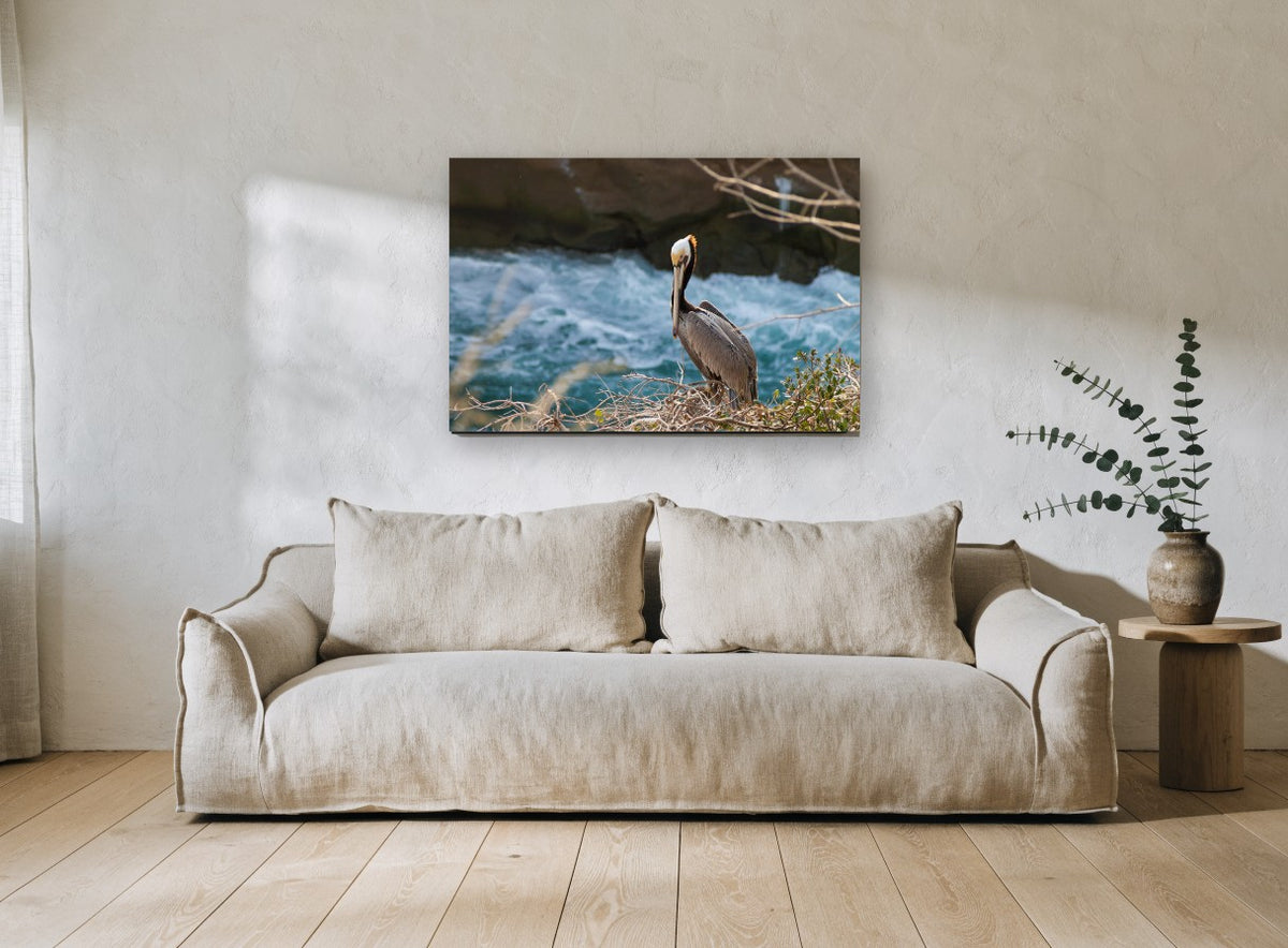 Pelican on the Ledge coastal canvas print on the wall of a living room