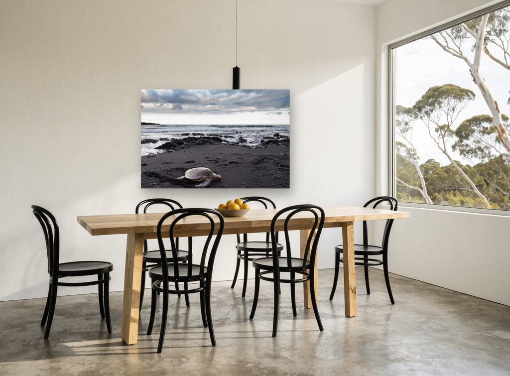 Honu on Black Sand coastal canvas print on the wall of a dining room