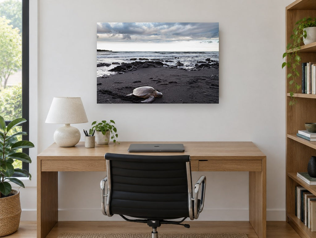 Honu on Black Sand coastal canvas print on the wall of a study