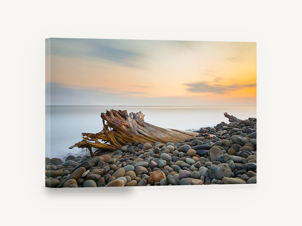 Driftwood at Dusk, driftwood pebble beach sunset photograph, coastal canvas wall art print ready to hang