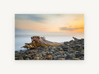Driftwood at Dusk, coastal canvas wall art print, front view