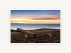 Driftwood Beam at Dusk, coastal canvas wall art print, front view
