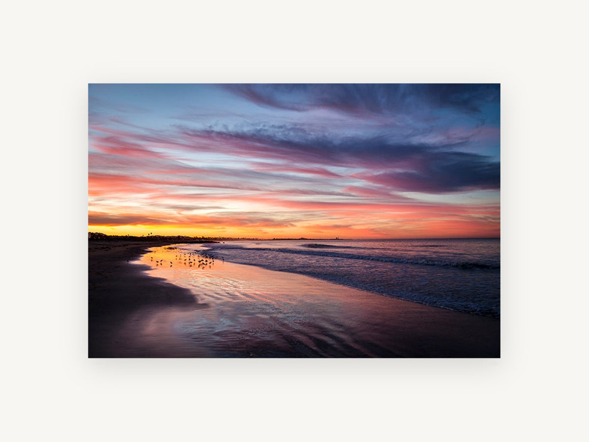 Dusk Shorebirds Glow, coastal canvas wall art print, front view