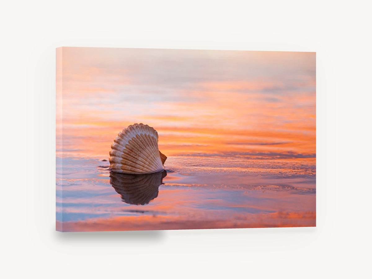 Shell at Sunset Shore, scallop shell sunset beach photograph, coastal canvas wall art print ready to hang